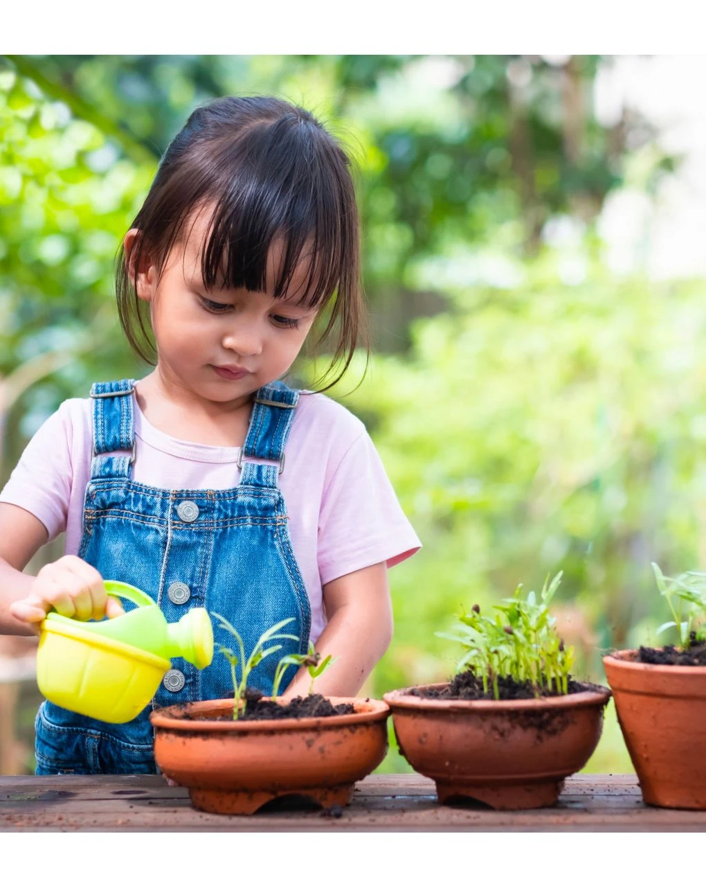 Vasino Pasha Eco - Ok Baby 5 Vasino Pasha Eco - Ok Baby - immagine 3